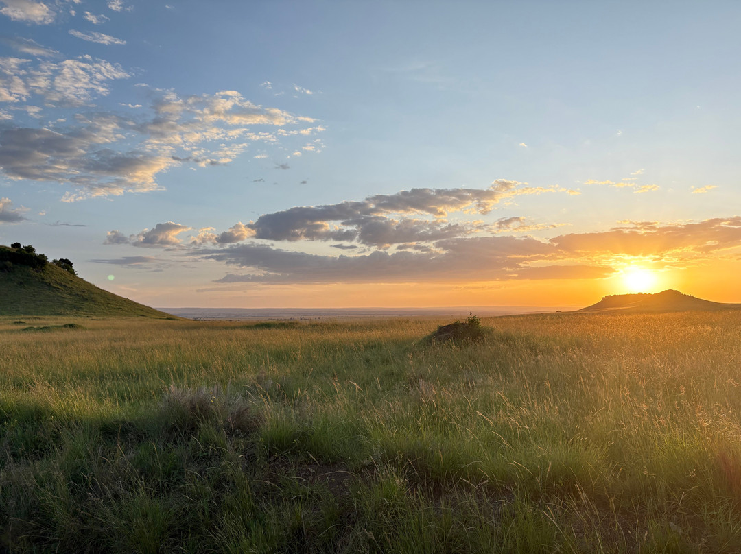 africa safariland tour-内罗毕必去景点