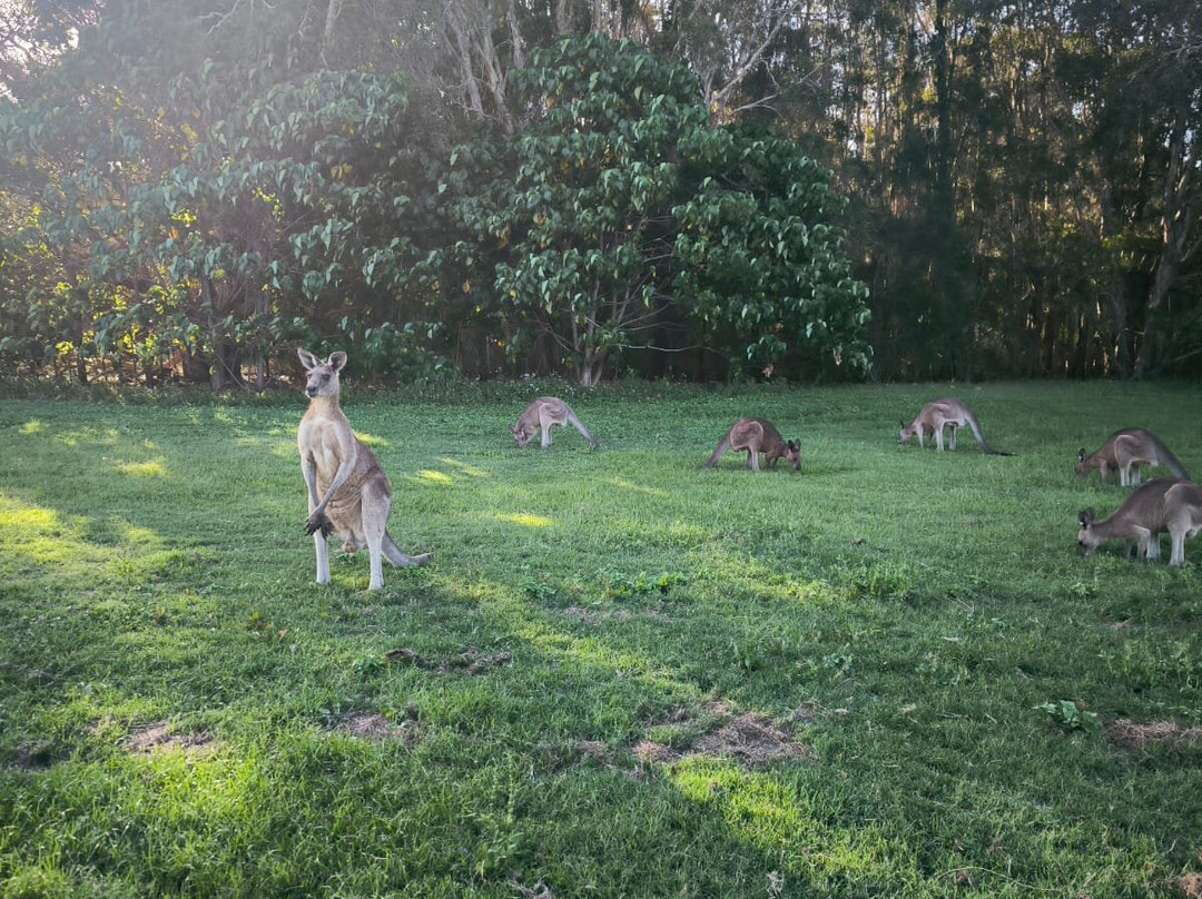 Coombabah Lakes Conservation Area-Coombabah必去景点