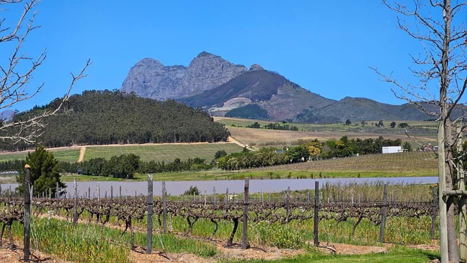 Anura Vineyards-Klapmuts必去景点