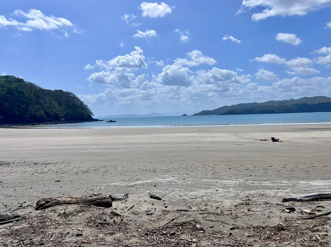 Playa Venao景点图片
