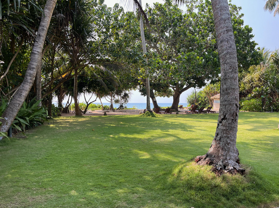 Sundara by Mosvold主图