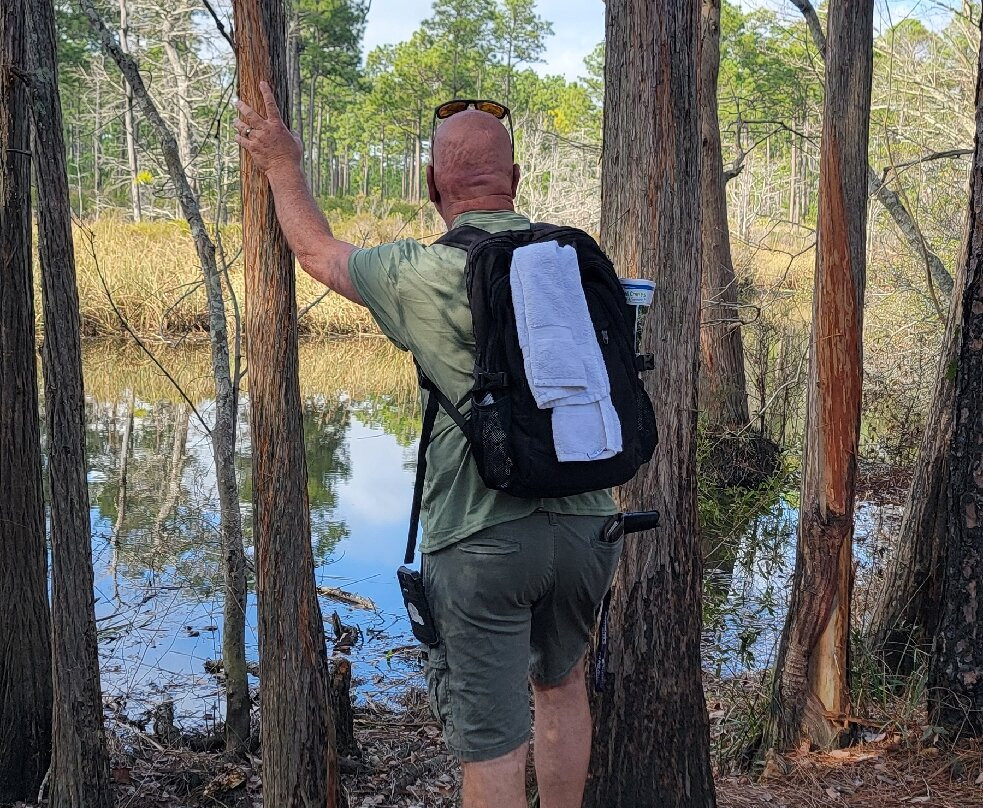 Mississippi Sandhill Crane National Wildlife Refuge景点图片