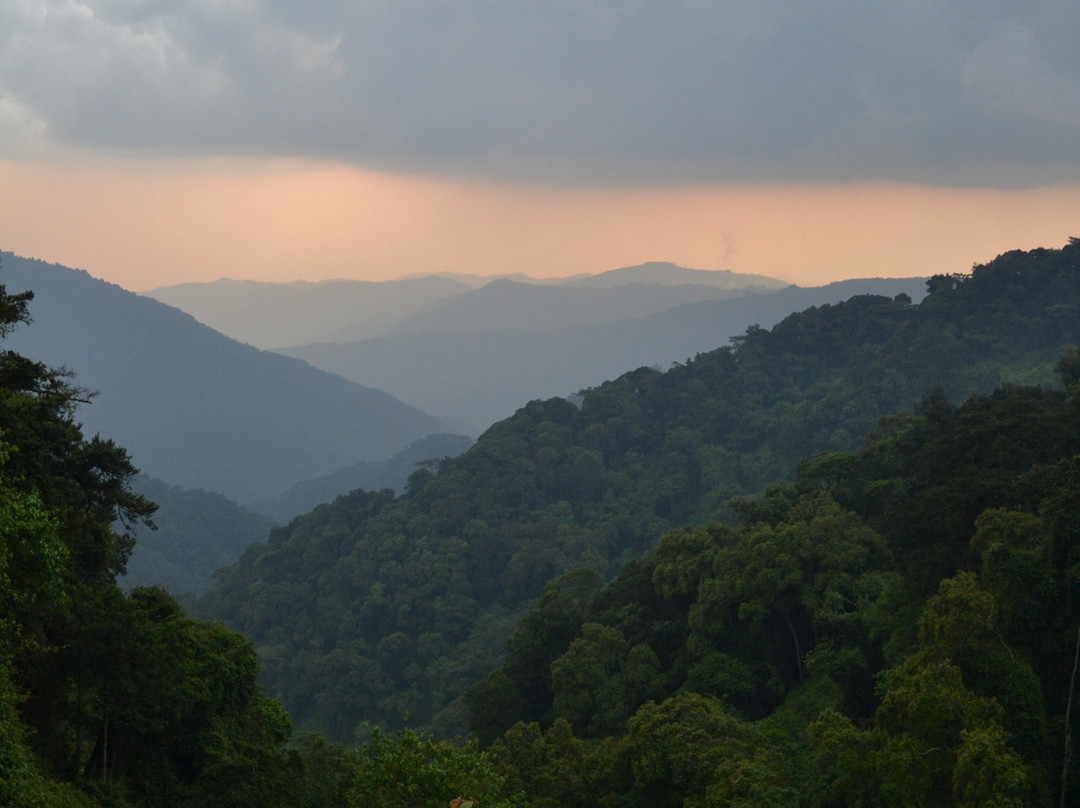 Rwenzori Trekking Services-Kasese必去景点