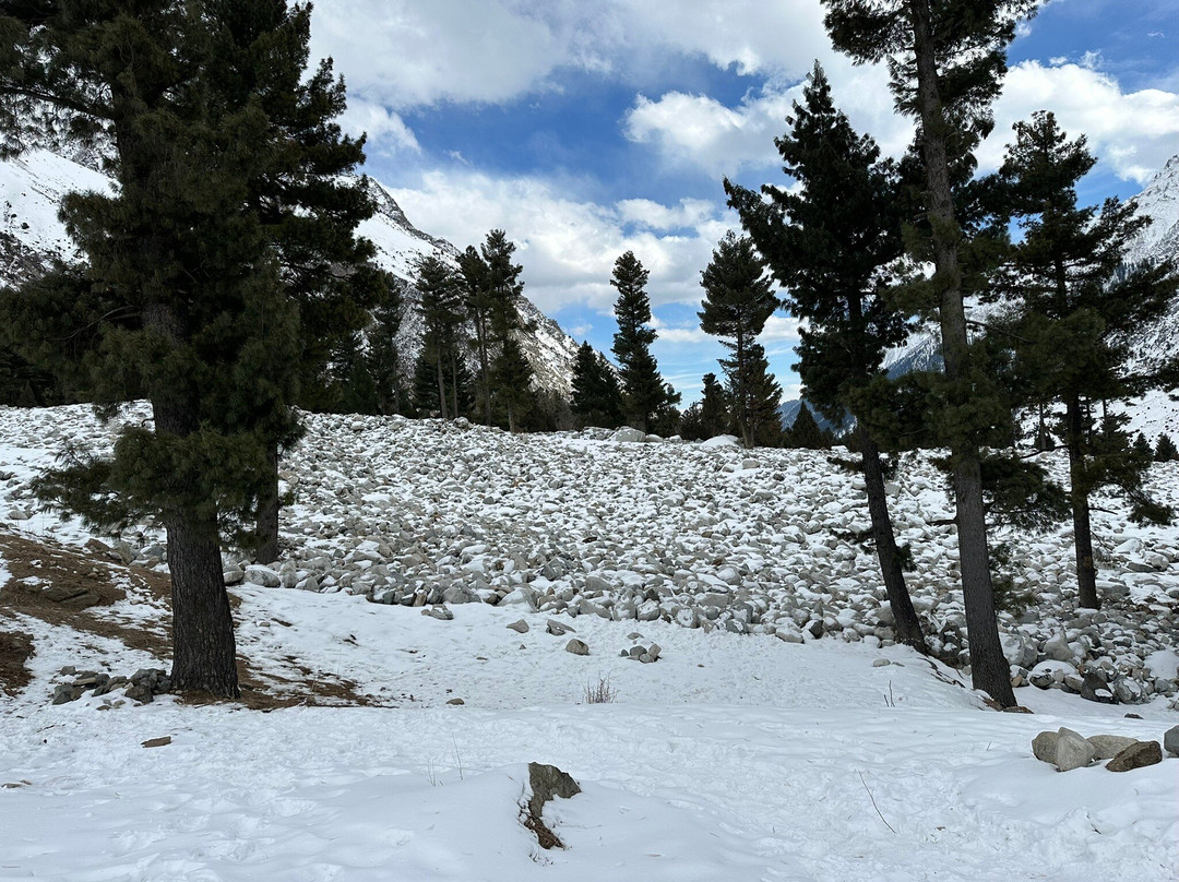 Naltar Lake-Naltar Valley必去景点