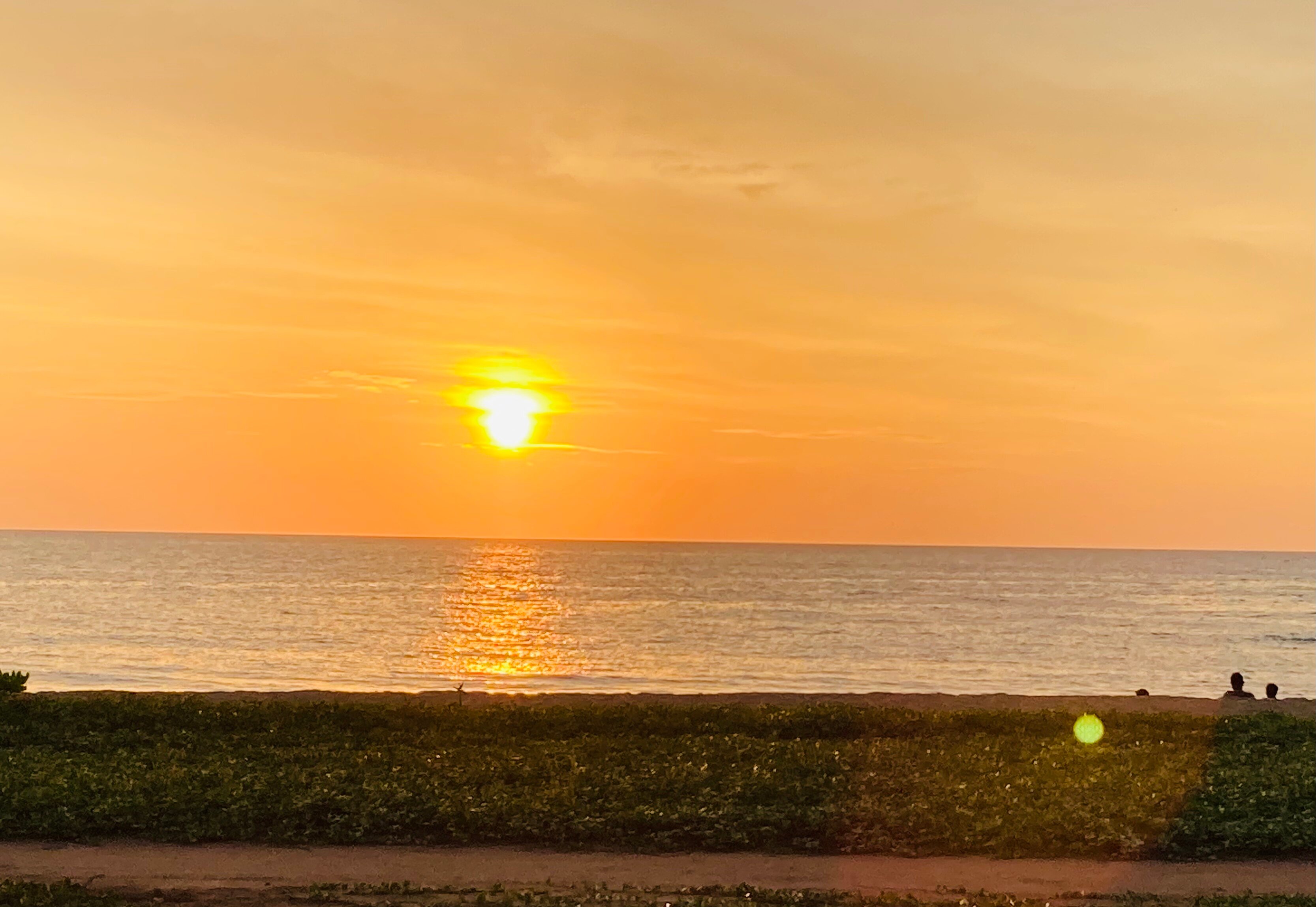 Wattura Resort & Spa-泳池