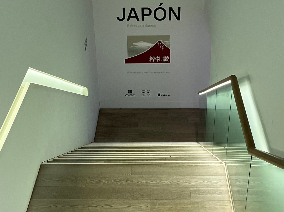 Museo de Bellas Artes de Asturias-奥维耶多必去景点