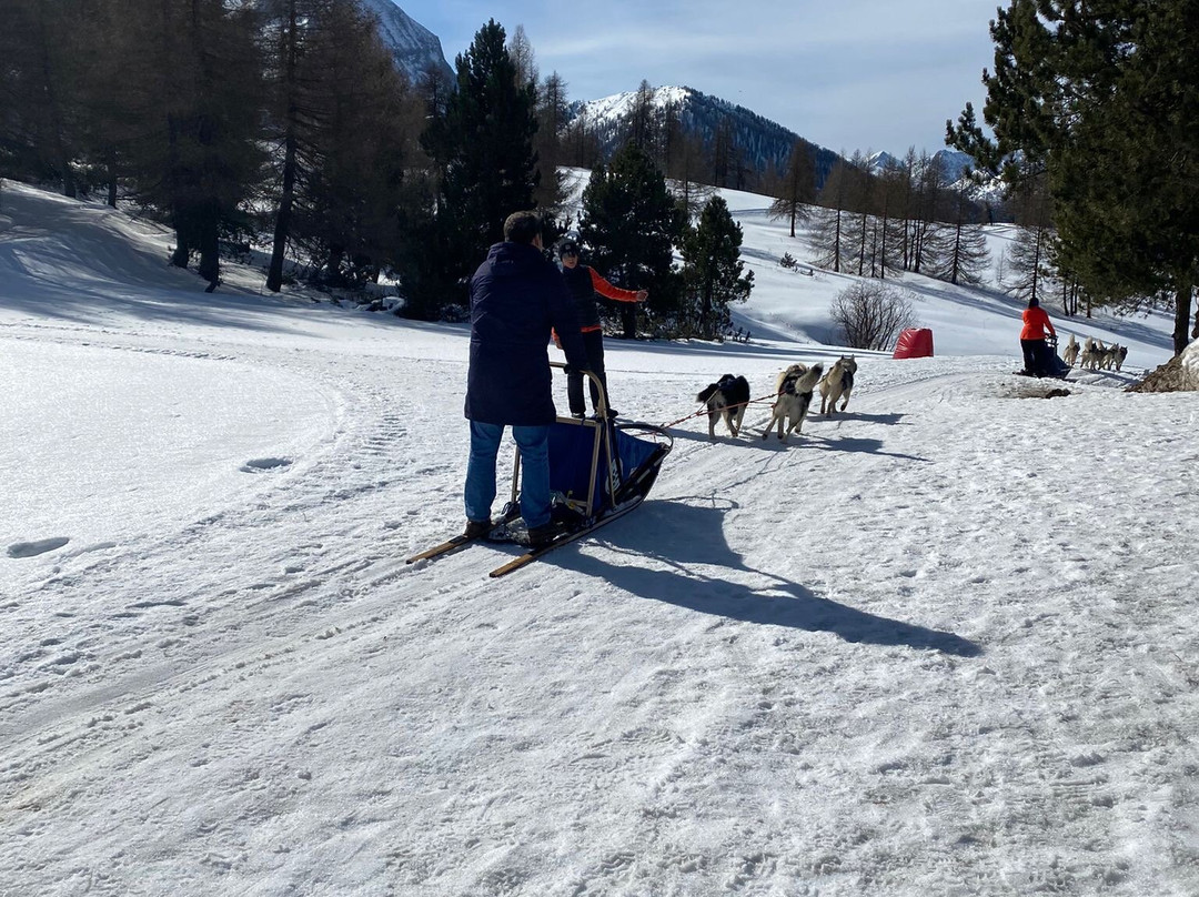 The Husky Experience Sestriere-Sestriere必去景点