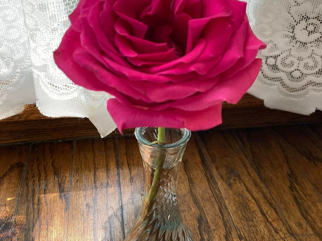 Iowa Grape Vines Winery-Maquoketa必去景点