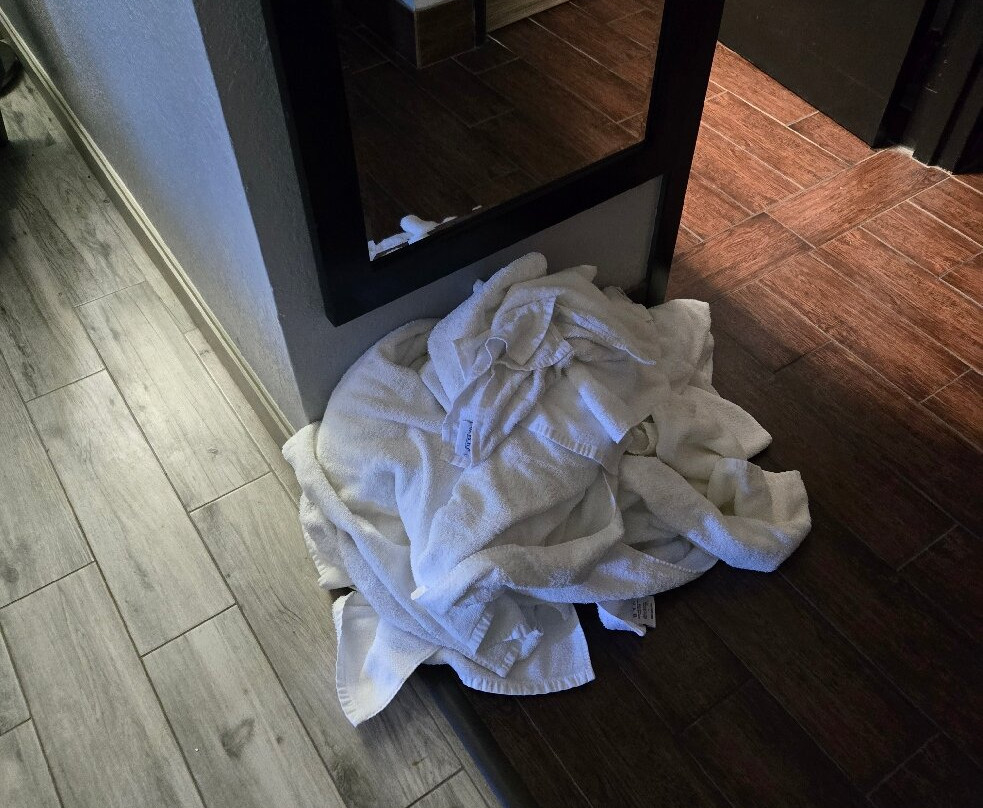 La Quinta Inn & Suites by Wyndham Sevierville / Kodak主图