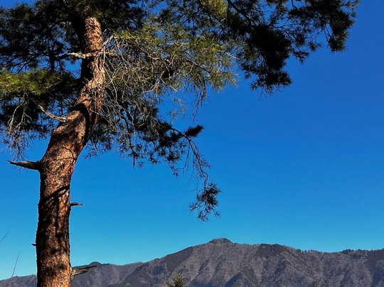 Sengenrei-桧原村必去景点