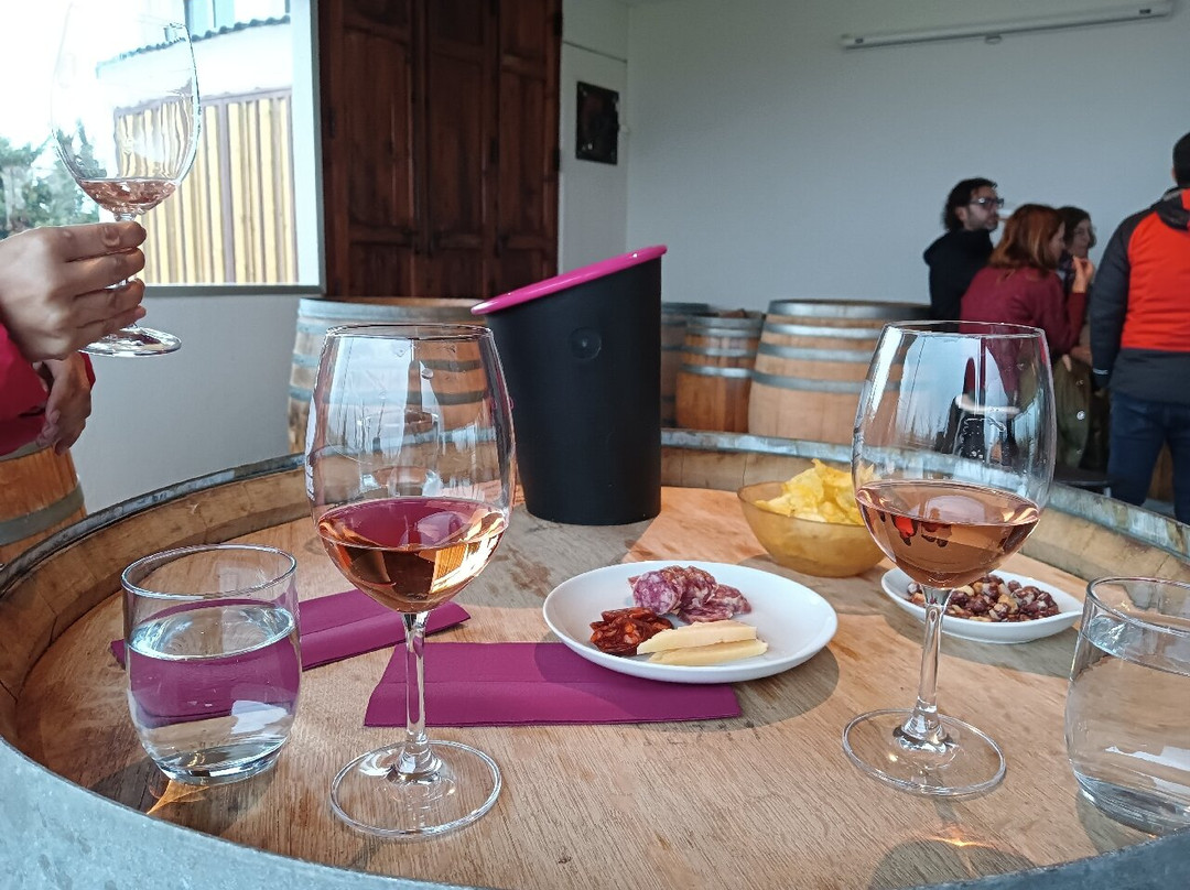 Private Tours Valencia-巴伦西亚必去景点