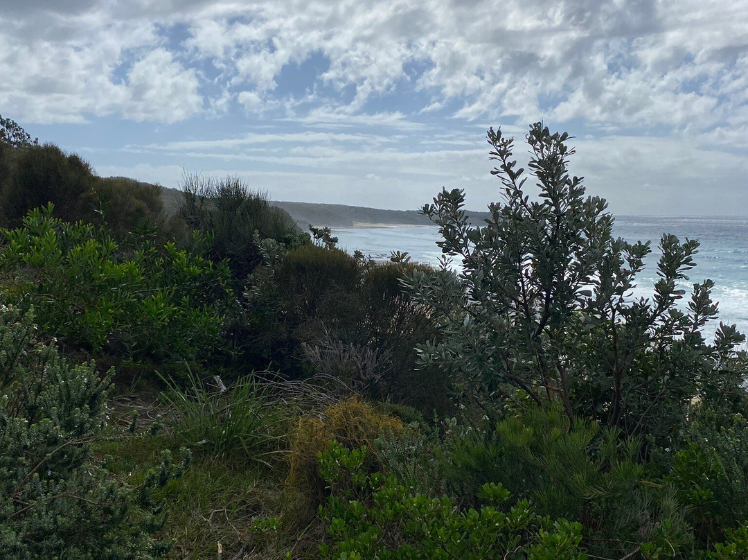 South Pacific Heathland Reserve景点图片