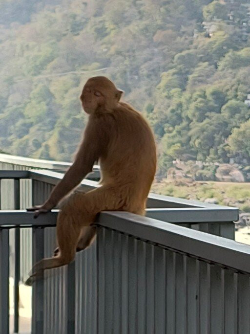 Shiva Yog Sthal主图