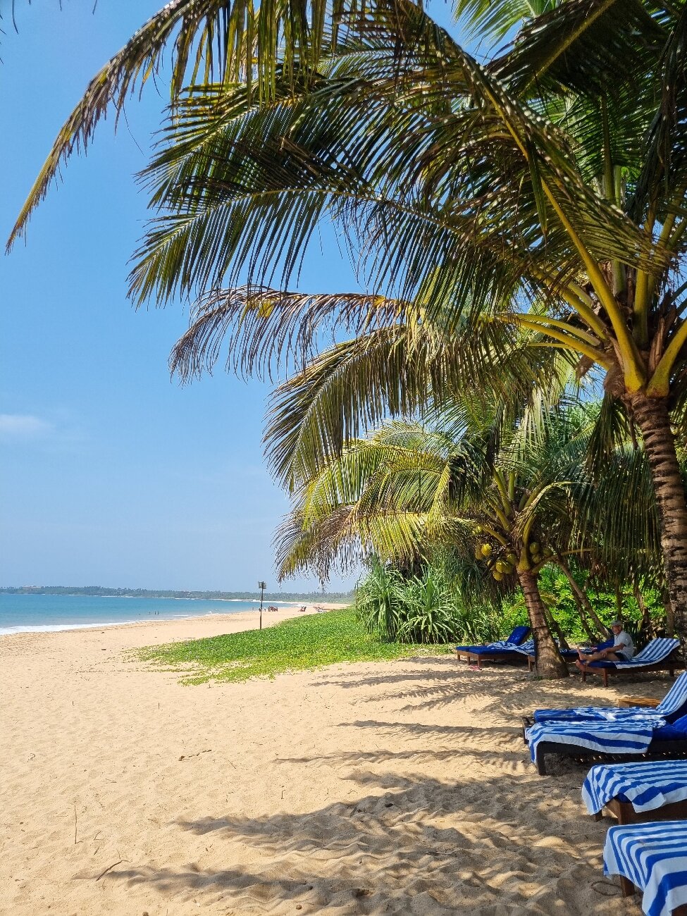 Seven Turtles Resort-官方