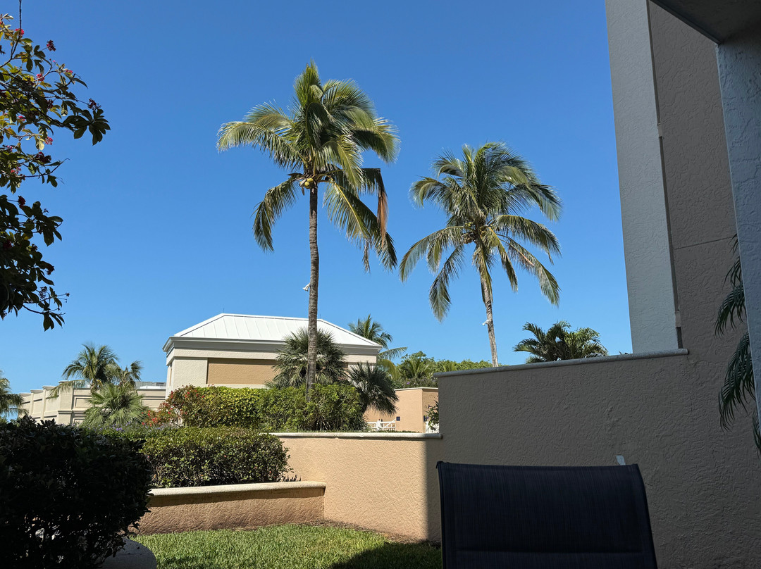 Marco Beach Ocean Suites主图