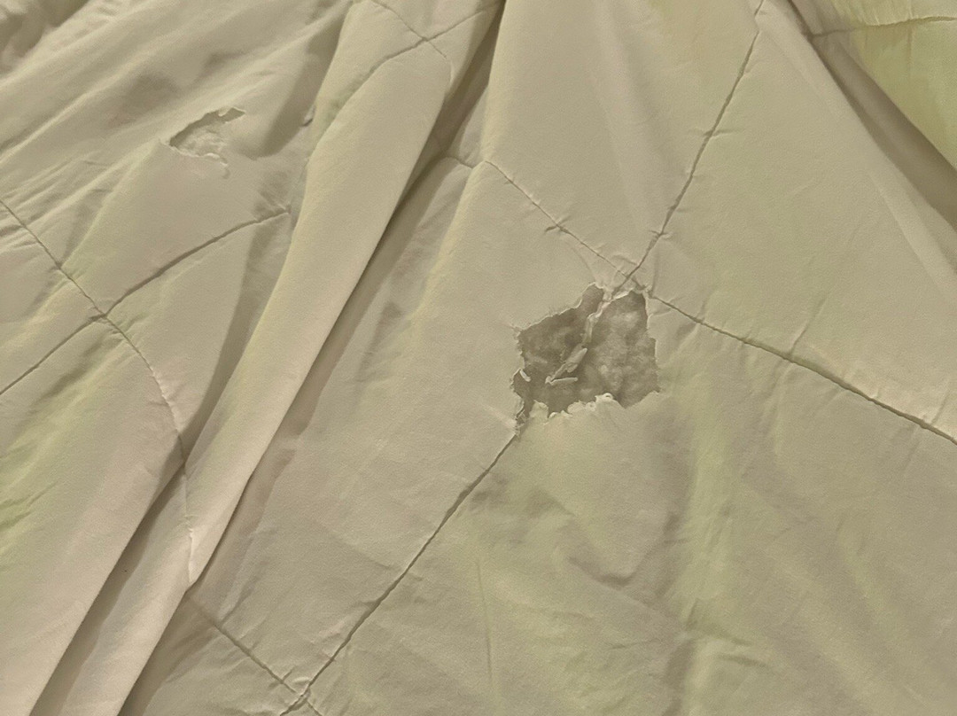 avid Hotel Fort Mill - Carowinds Blvd by IHG主图