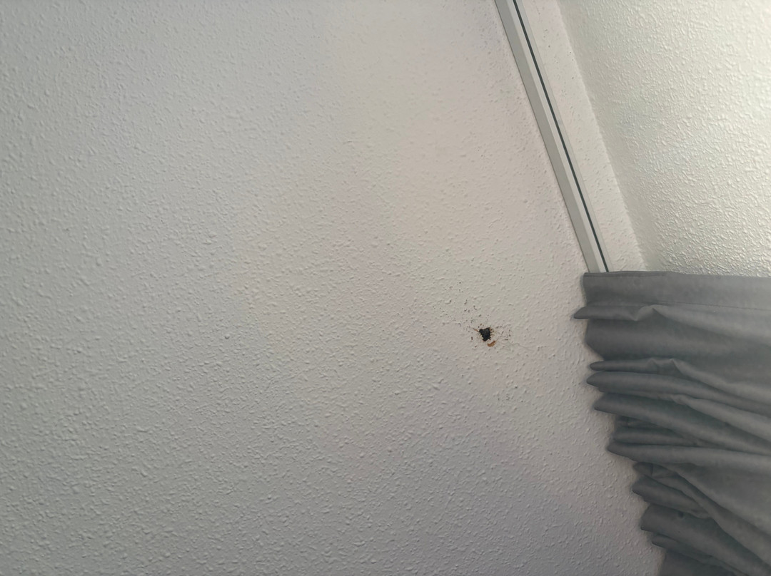 CIST - Domaine D'Ariane