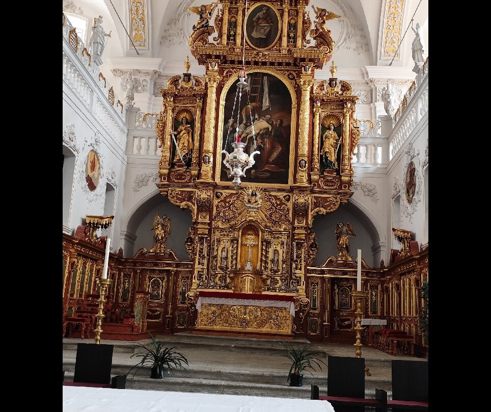Benediktiner Kloster Disentis景点图片