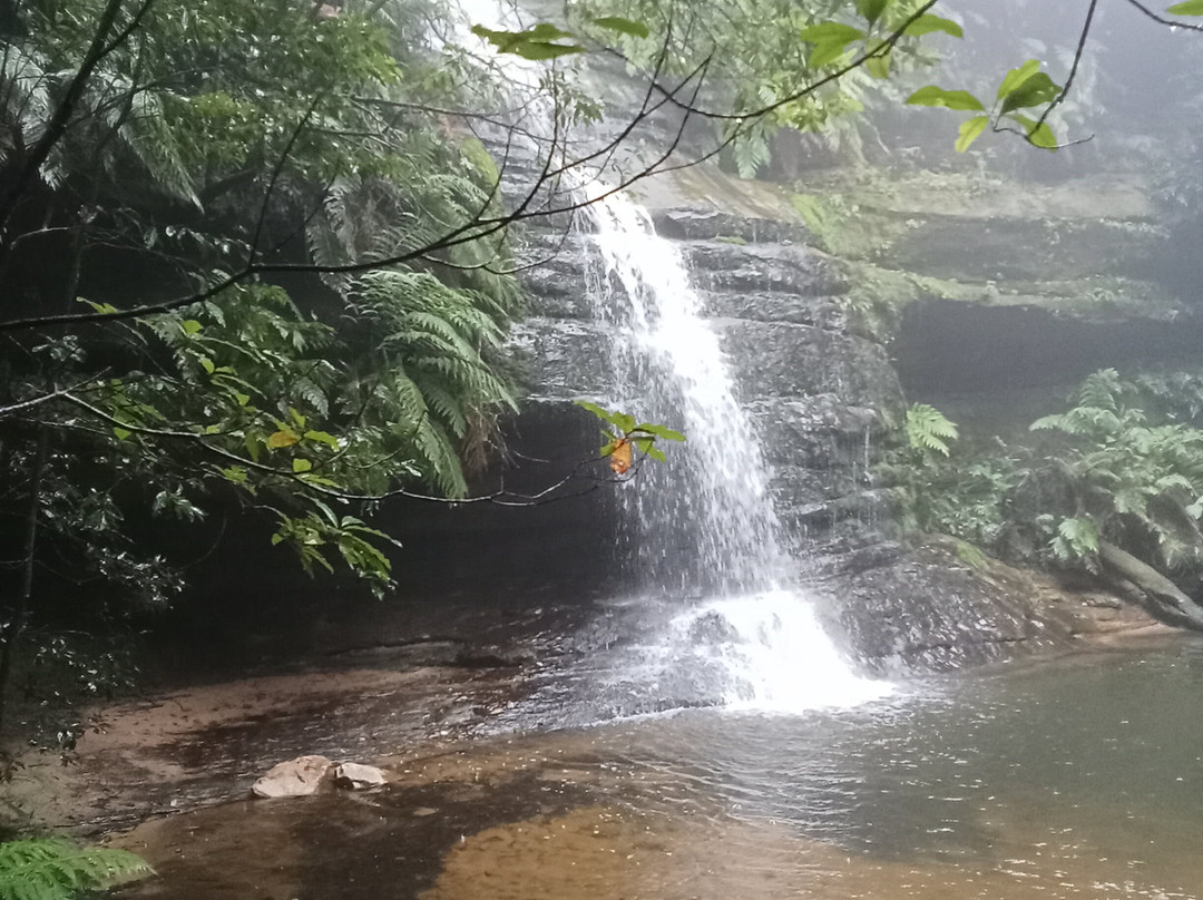 Pool Of Siloam景点图片