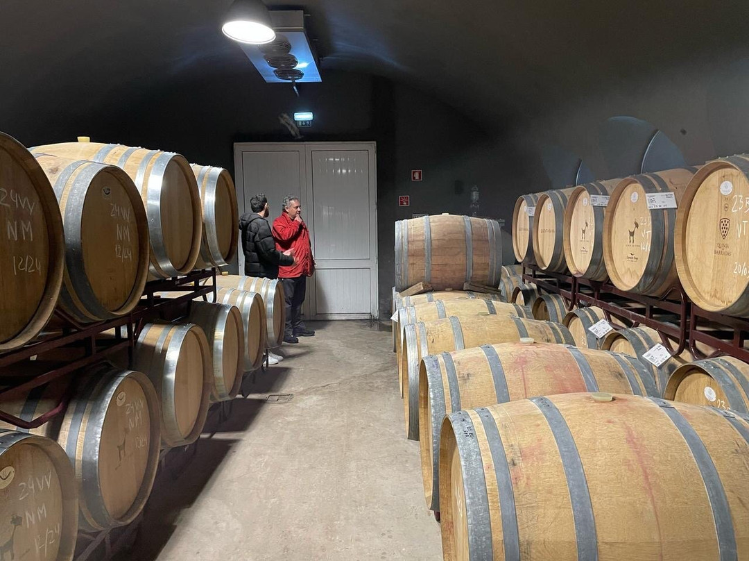 Cabrita Wines景点图片