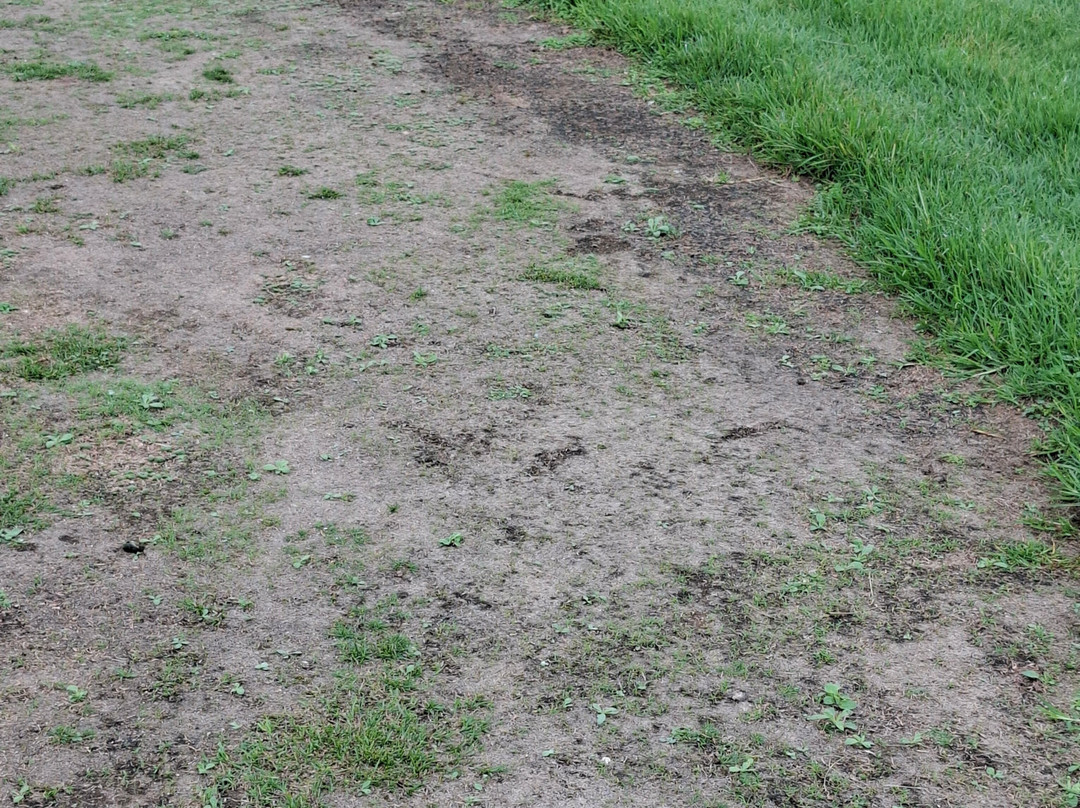 Badplaas Golf Club Guest House & Lodge主图