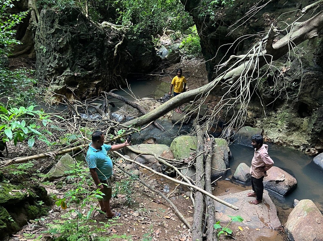 Eric Tuk Tuk and Cheaper Taxi Udawalawe-乌达瓦拉瓦必去景点