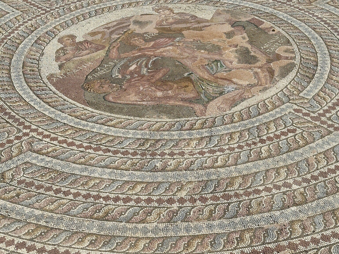 The Villa of Theseus-帕福斯必去景点