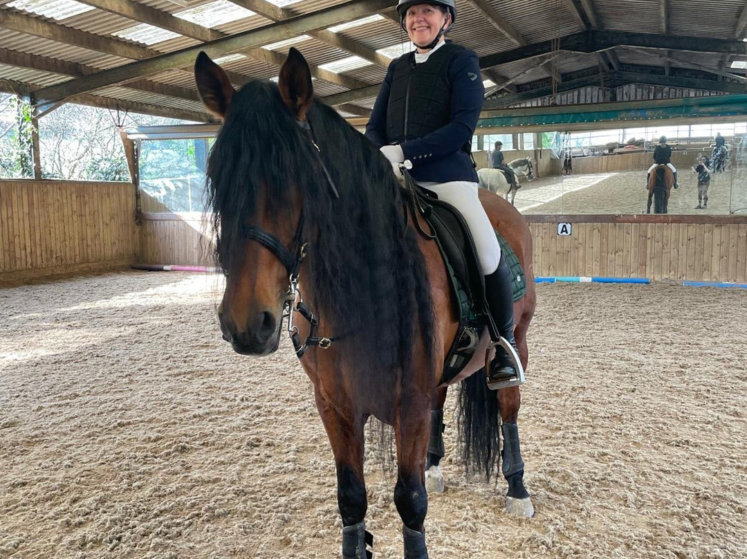 Pen Llyn Lusitano Stud and Riding Centre景点图片
