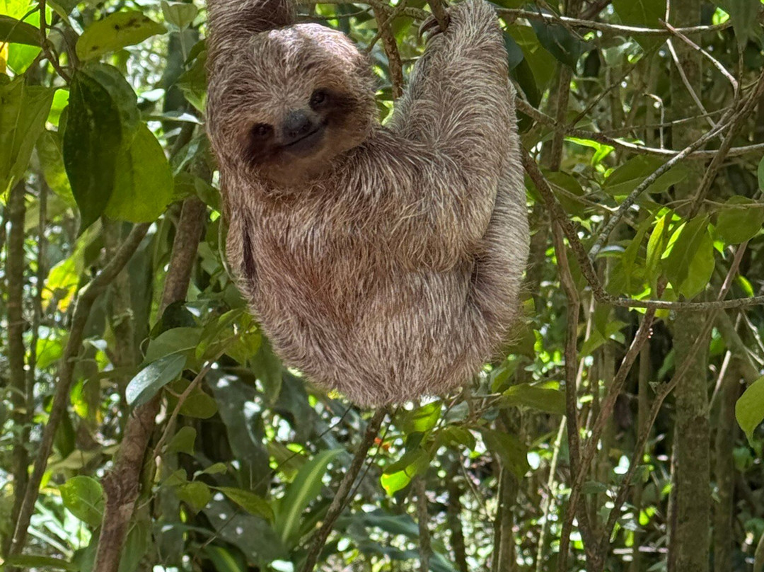 Guanacaste Traveler-Filadelfia必去景点