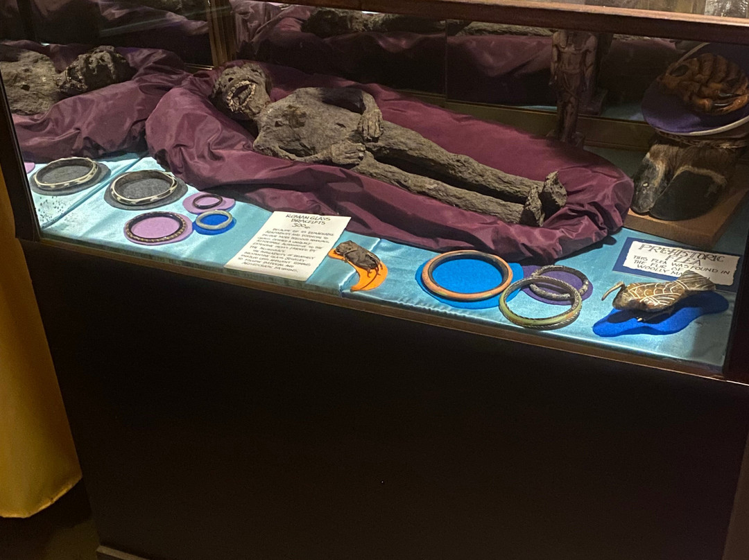 Pexcho's American Dime Museum-奥古斯塔必去景点