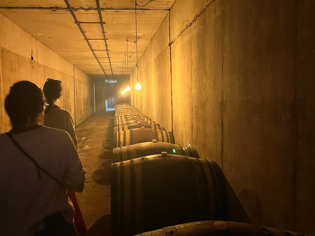 Experiencia Laberinto-Colbun必去景点