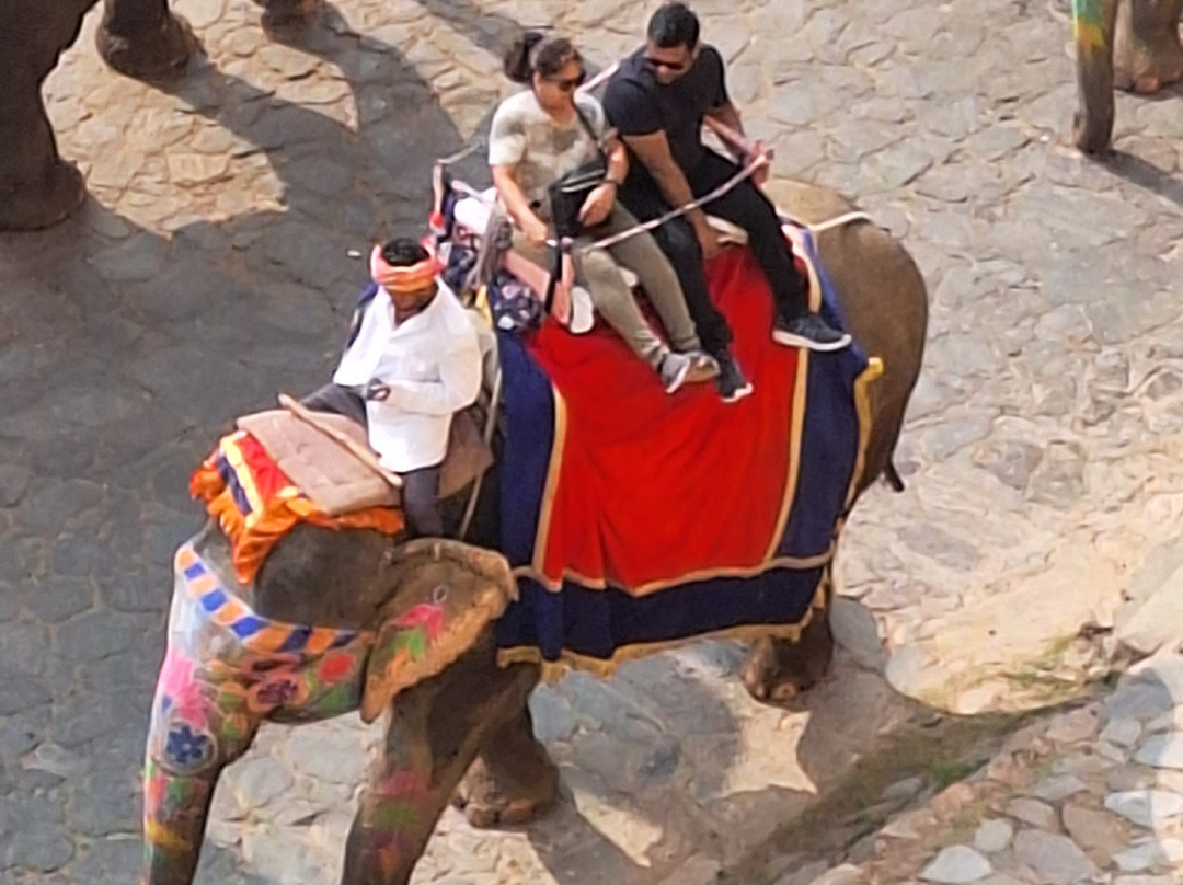 Travelogy India-Kaushambi必去景点