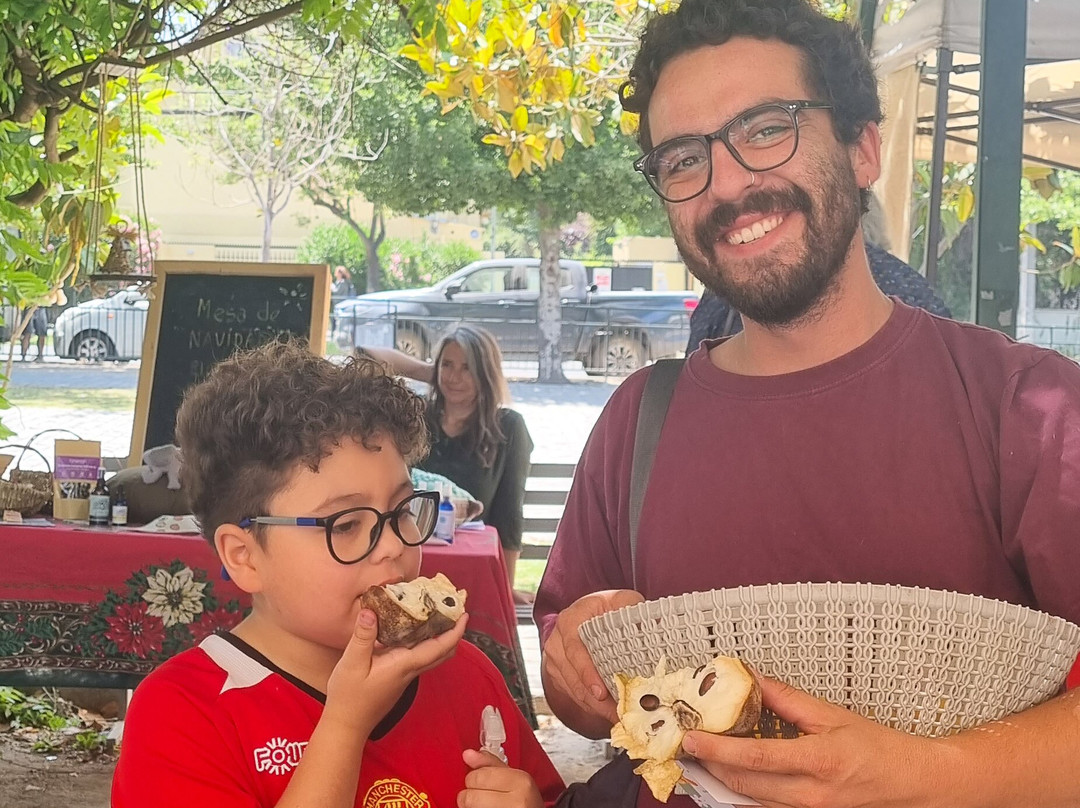 Ecoferia-圣地亚哥必去景点