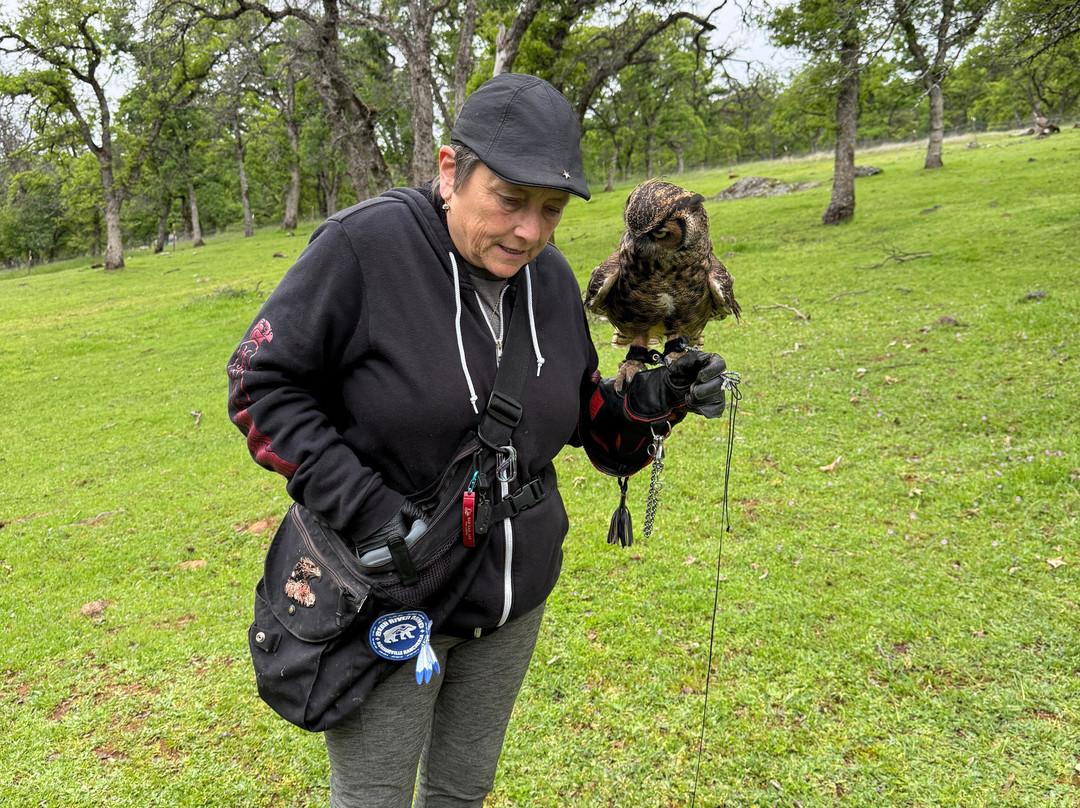 West Coast Falconry-Marysville必去景点