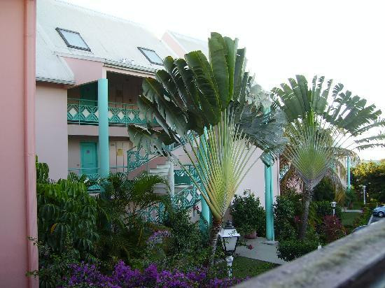 Residence Marifa主图