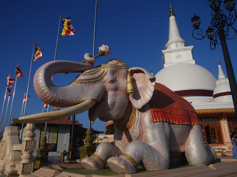 Palitha peiris-康提必去景点