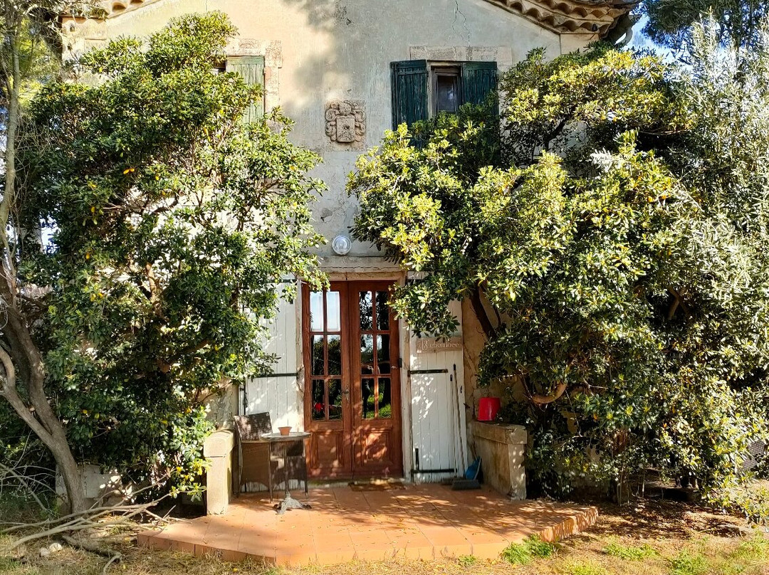 Domaine de Maguelonne-滨海圣玛丽必去景点