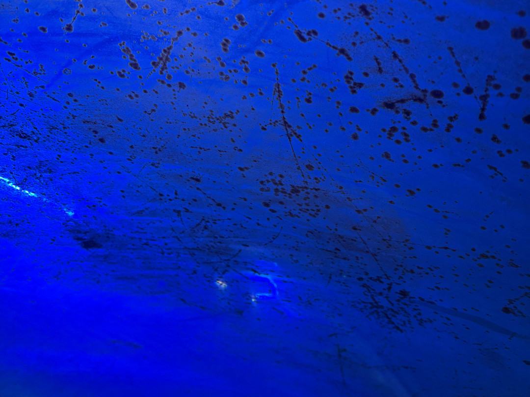Deep Sea World-北昆斯费里必去景点