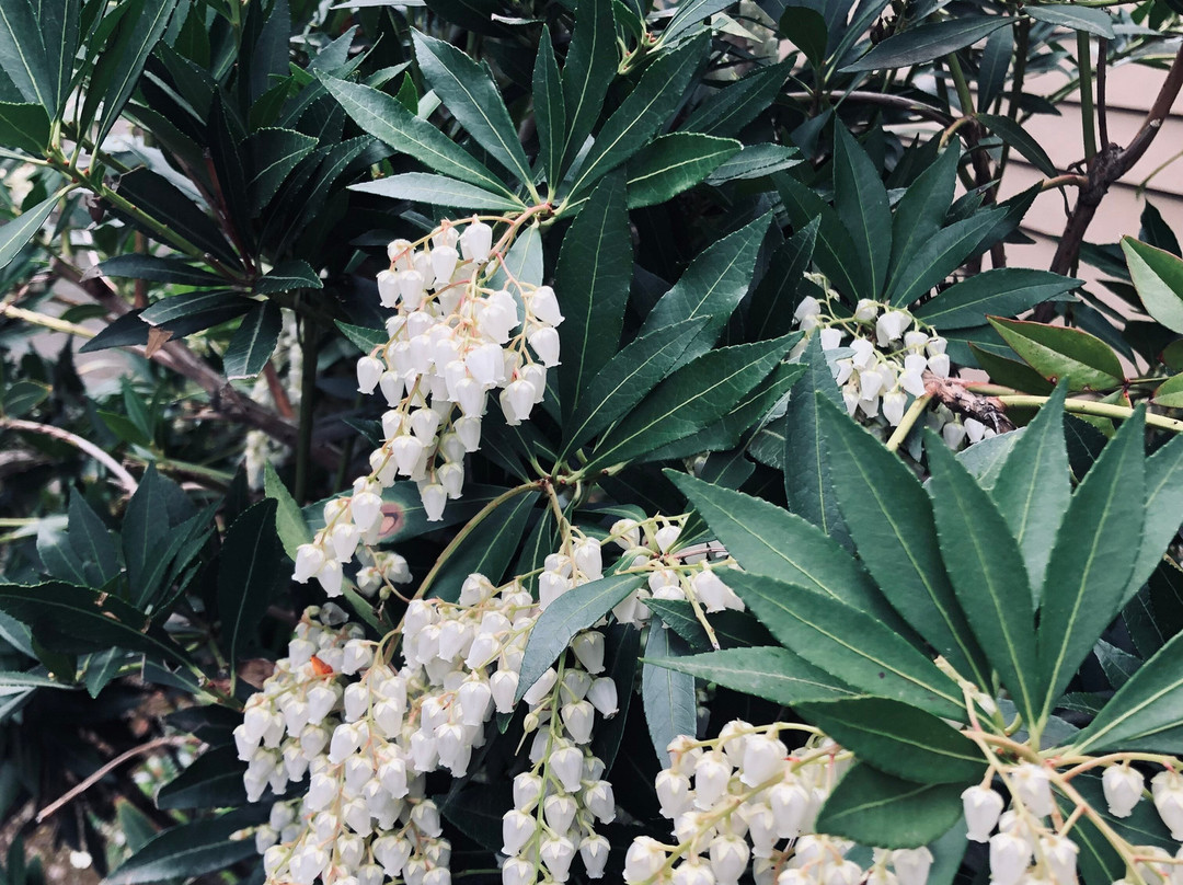 Élan Guest Suites主图