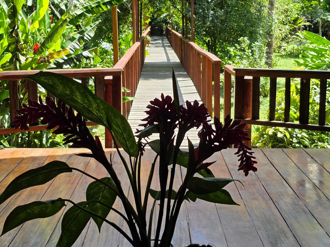 JunglePro-马尔多纳多港必去景点