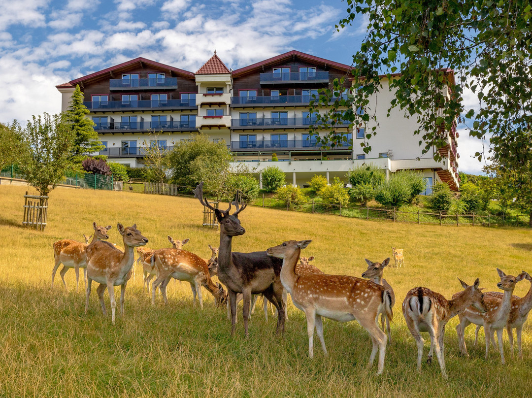 Antweiler酒店住宿-卡斯腾霍兹酒店
