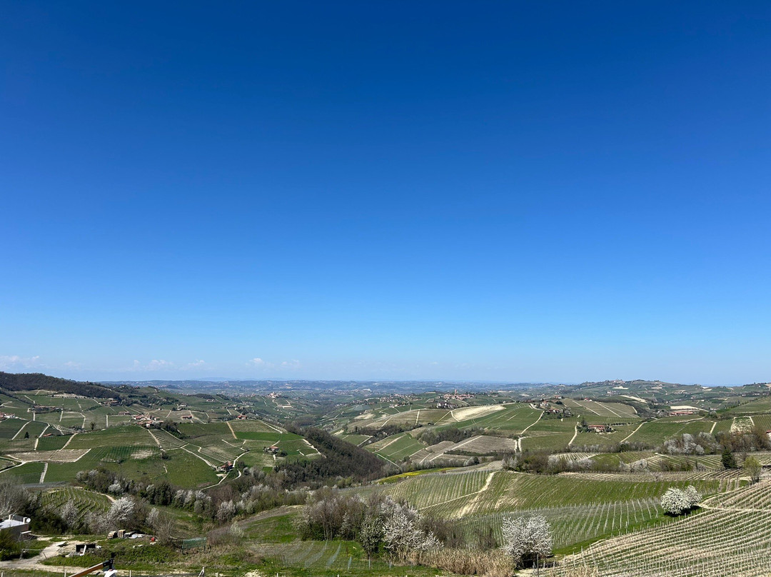 Agriturismo La Torricella-蒙福特-达尔巴必去景点