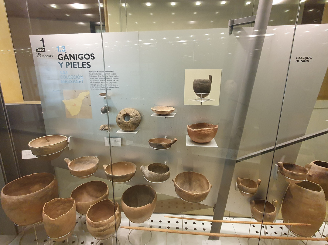 Museo de Naturaleza y Arqueologia景点图片