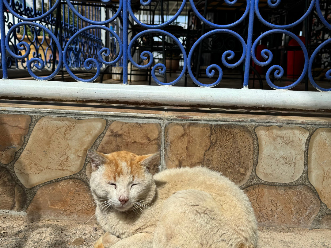 Morocco Desert Lines-Hassilabied必去景点