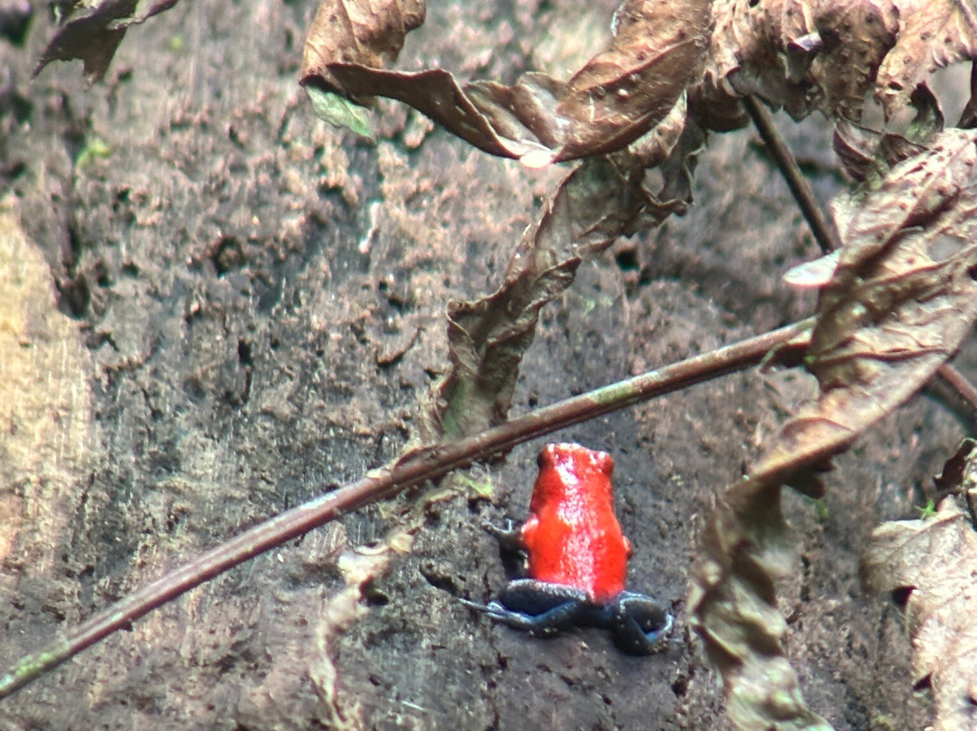 Costa Rica Experts景点图片