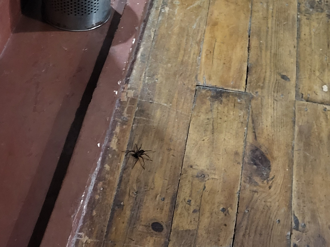 Orchid Lake Resort主图