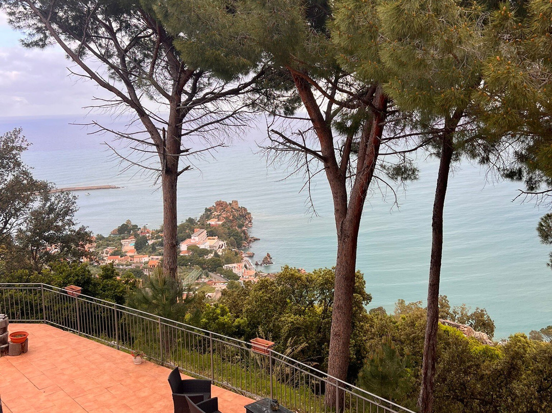 Alba Tra I Pini B&B主图