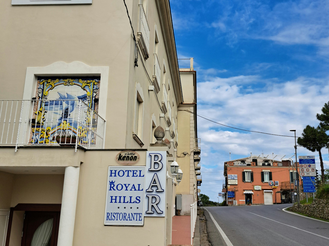 Hotel Royal Hills主图