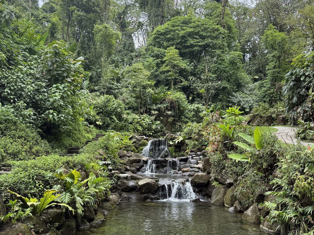 Kurú Natural Springs景点图片