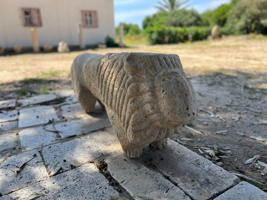 Pupput Roman Site-哈玛麦德必去景点